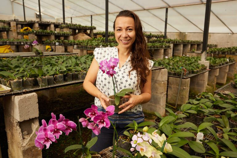 Productores de Valor: impulsando el desarrollo sostenible y el mejoramiento de la calidad de vida en el campo