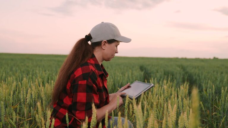 El agro ecuatoriano produce sin desgastar la tierra