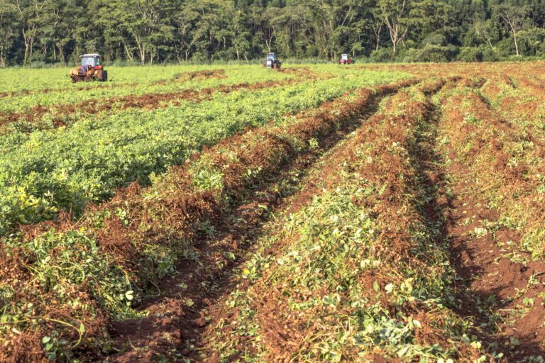 Producir más con menos: la nueva apuesta de la agricultura eficiente